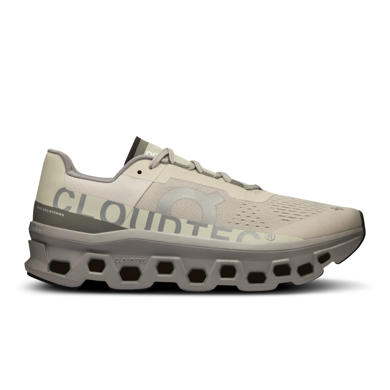 Chaussures Running Route On Cloudmonster Ice  Alloy  Homme  | HNK-8382472