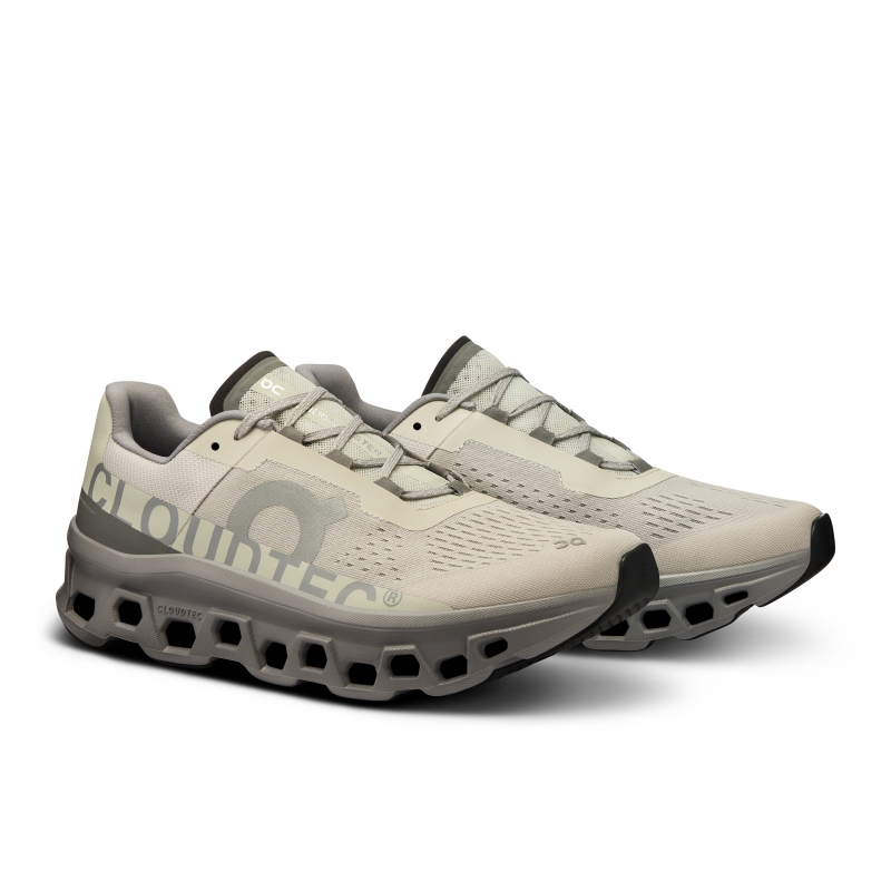 Chaussures Running Route On Cloudmonster Ice  Alloy  Homme  | HNK-8382472